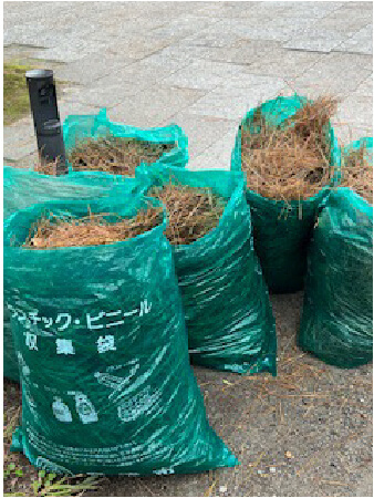 2024年天橋立清掃活動