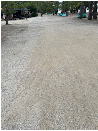 2024年天橋立清掃活動