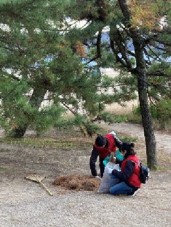 2024年天橋立清掃活動