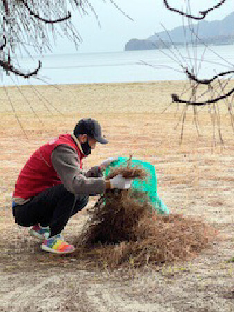 2024年天橋立清掃活動