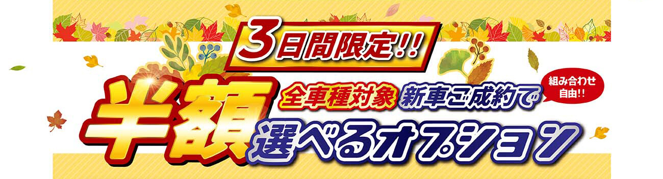 秋の大商談会！！